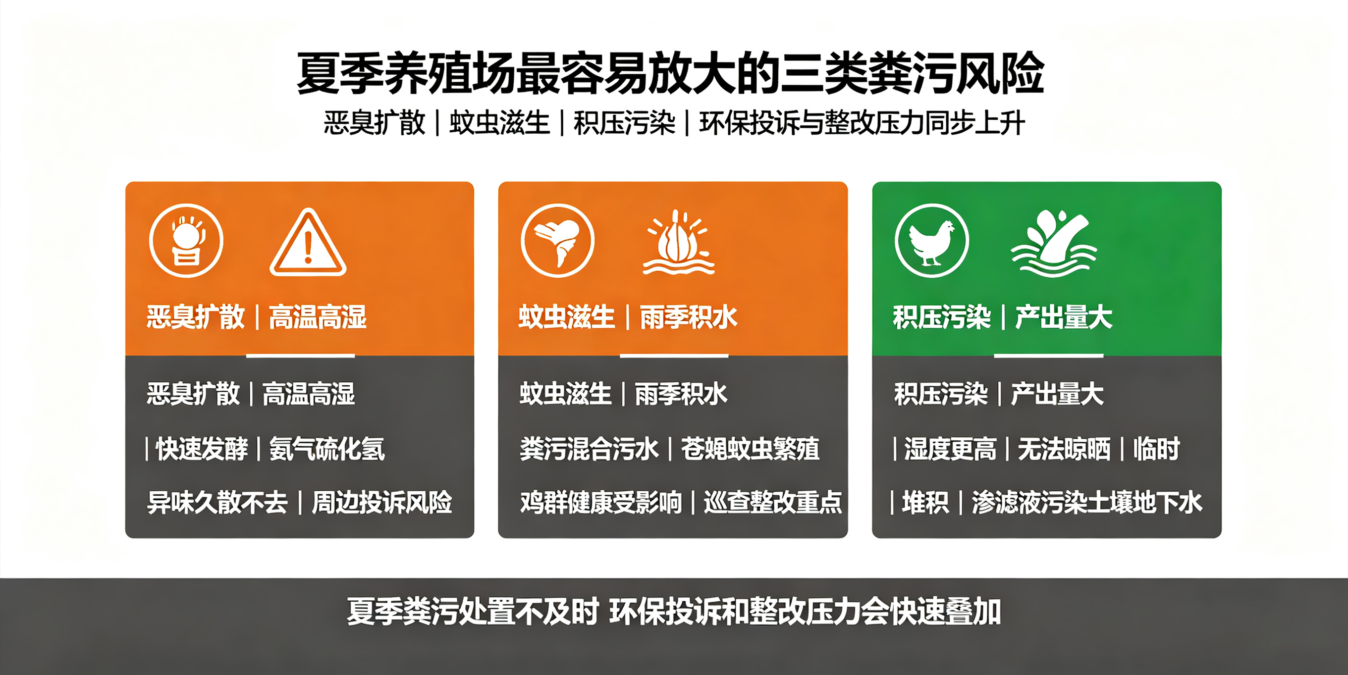 鸡粪发酵产气、滋生蚊虫？闪蒸烘干从源头解决养殖场夏季环保难题