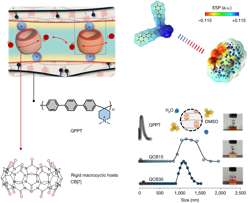 Tsinghua University Team Publishes Breakthrough CB[7] Supramolecular Nanopore Anion-Conducting Membrane in Nature