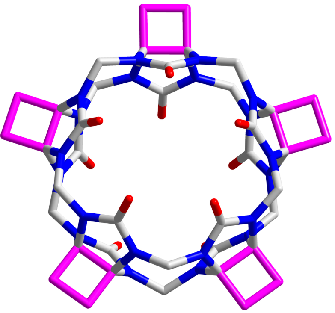 Cyclobutylated cucurbituril [5] (CyB5CB[5])