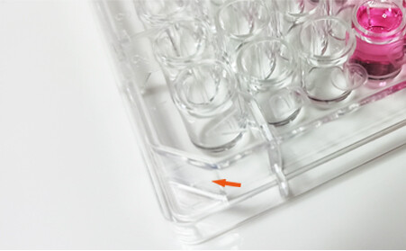 Cell Culture Plate display 2