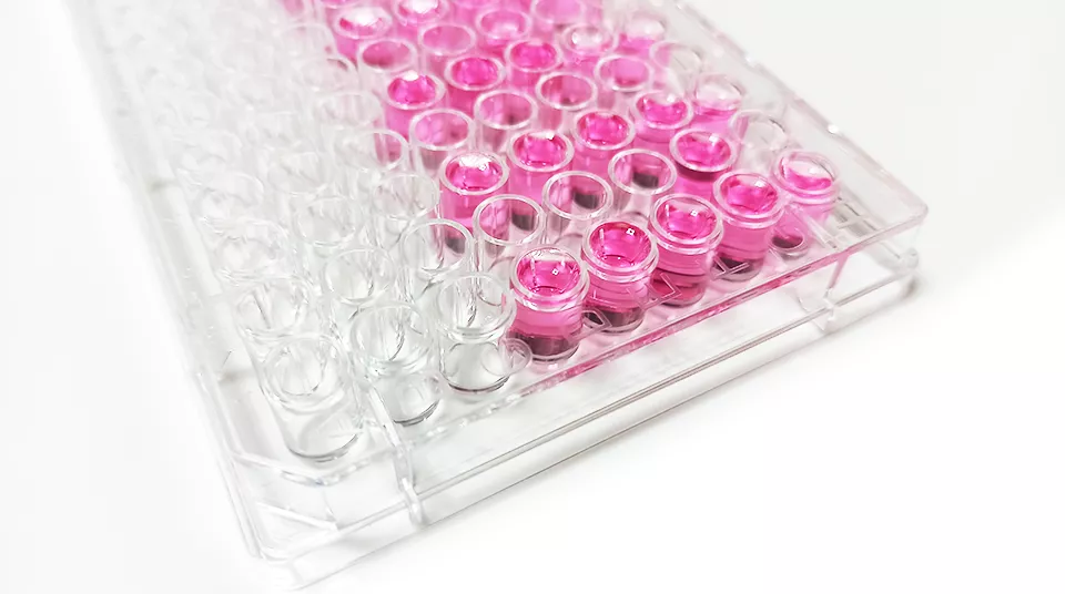 Cell Culture Plate display 3
