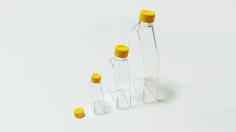 Cell Culture Flask