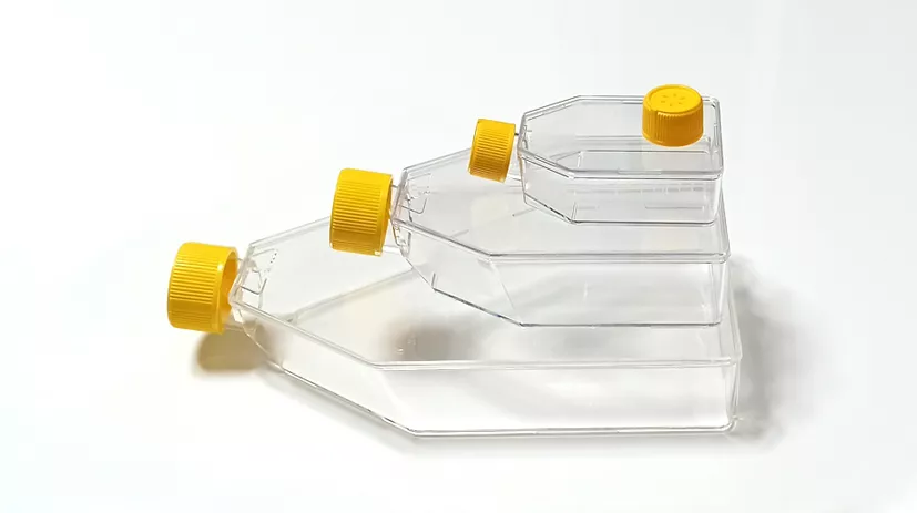 Cell Culture Flask display 3