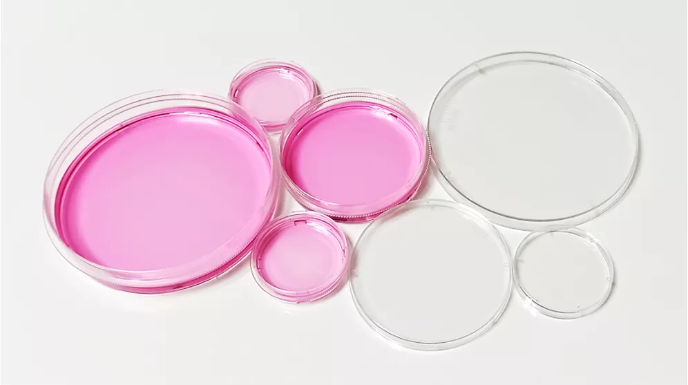 Cell Culture Dish display 4