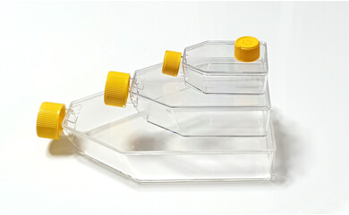Cell Culture Flask display 5