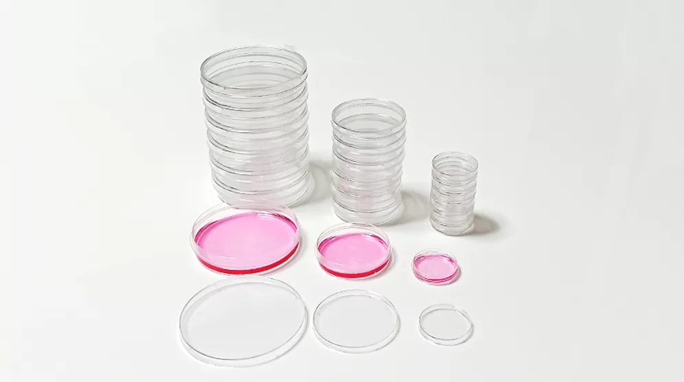 Cell Culture Dish