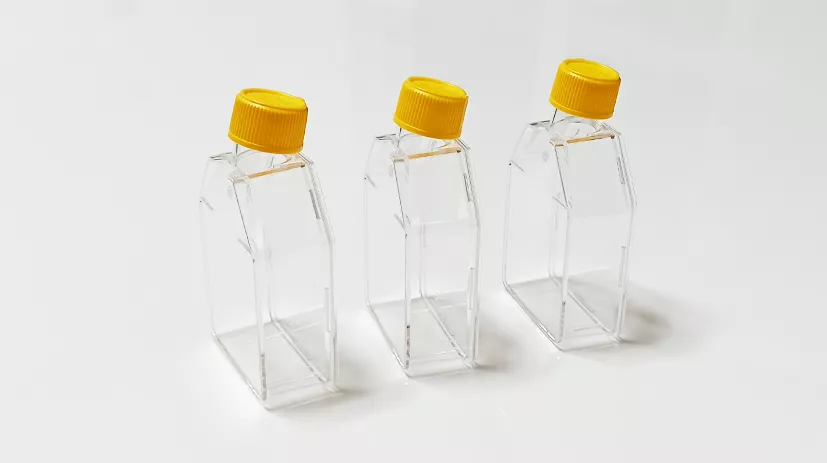 Cell Culture Flask display 1