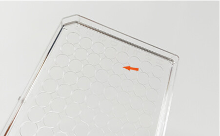Cell Culture Plate display 5