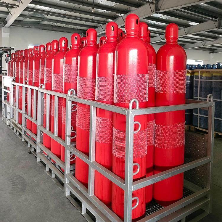 Fire suppression system gas cylinder bank