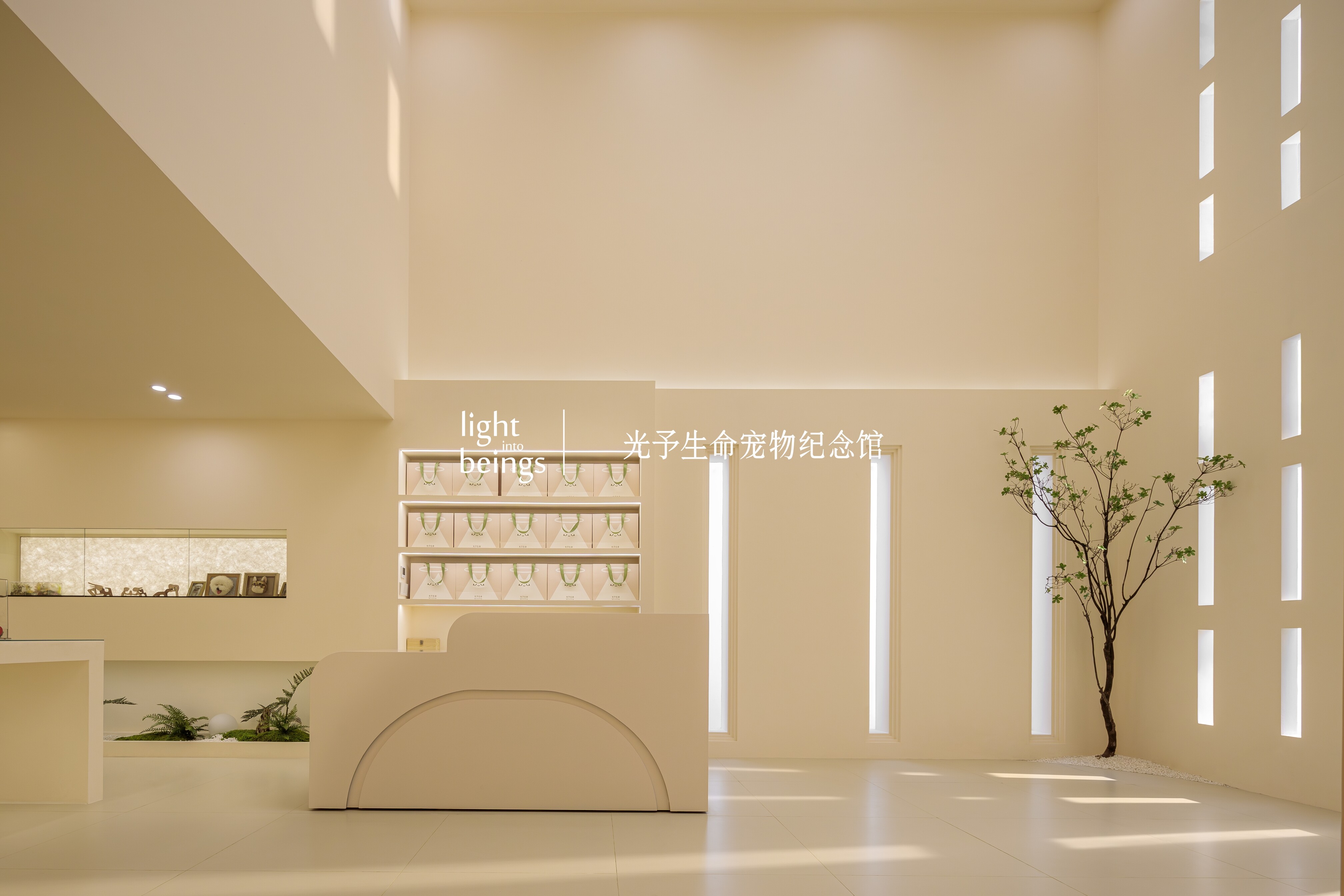 光予生命宠物店 - 图片3