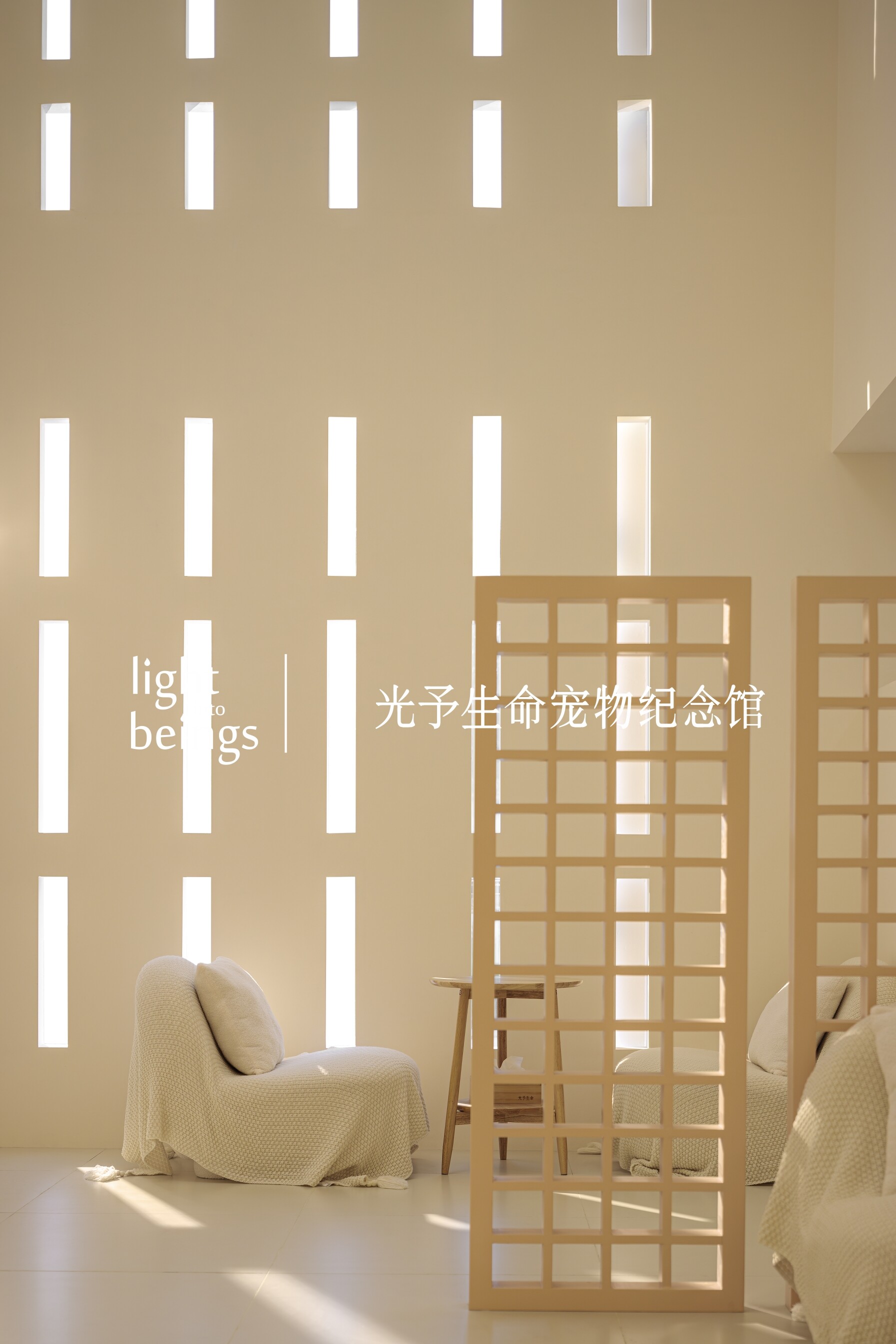 光予生命宠物店 - 图片4