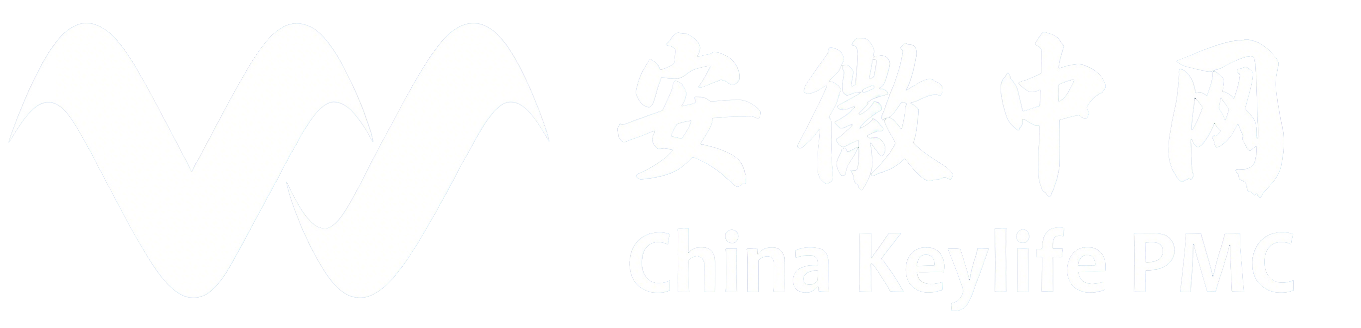 Anhui Zhongwang Logo