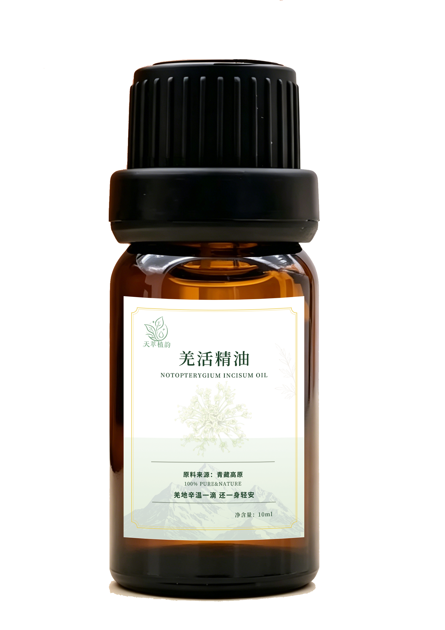 羌活精油