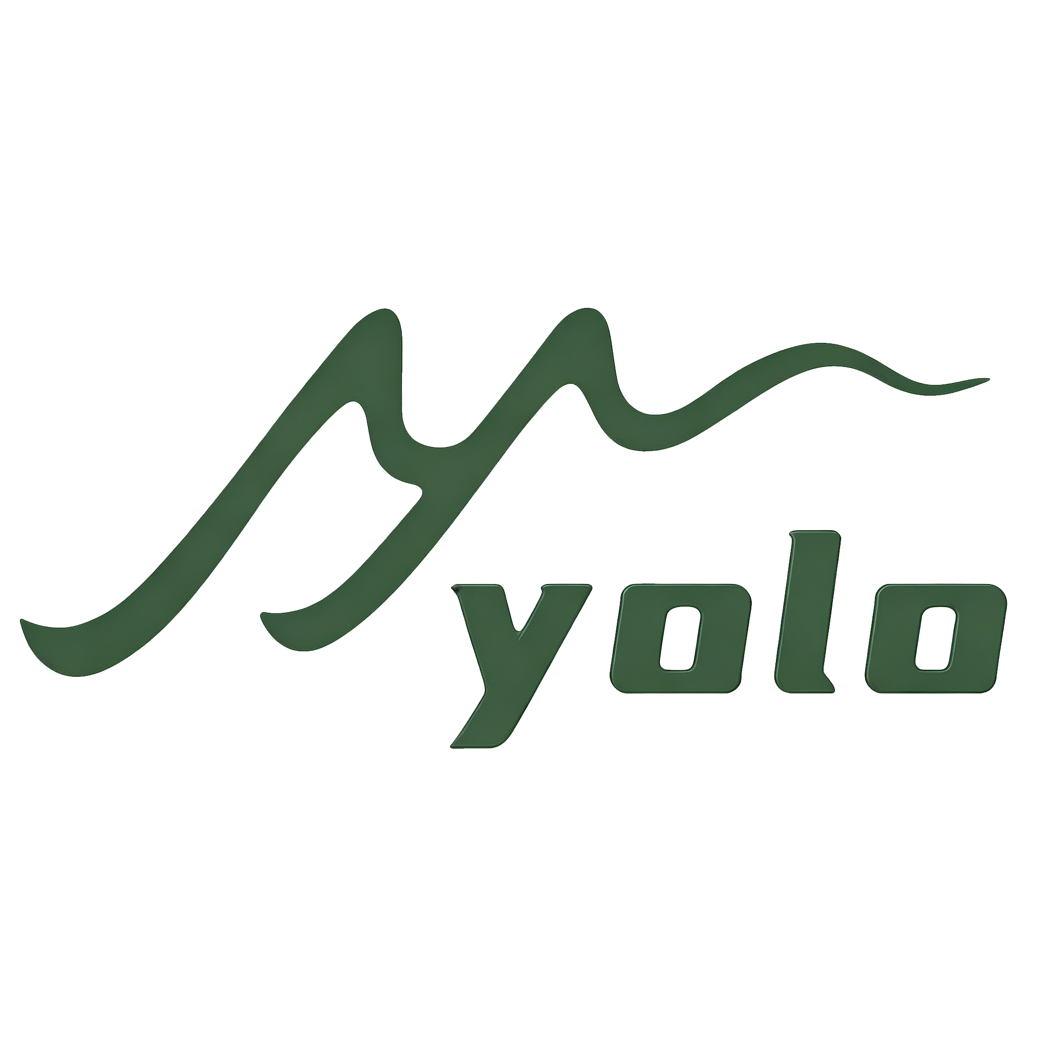 yolocarwasher logo