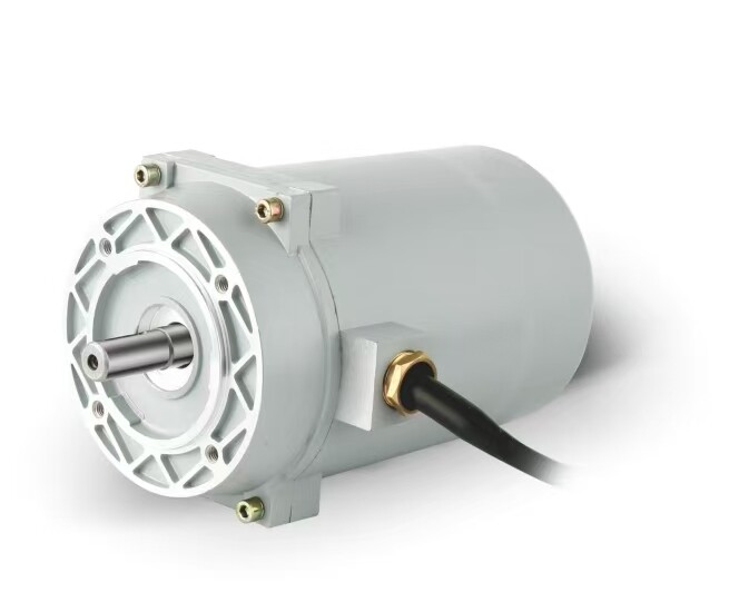 Waterproof Motor