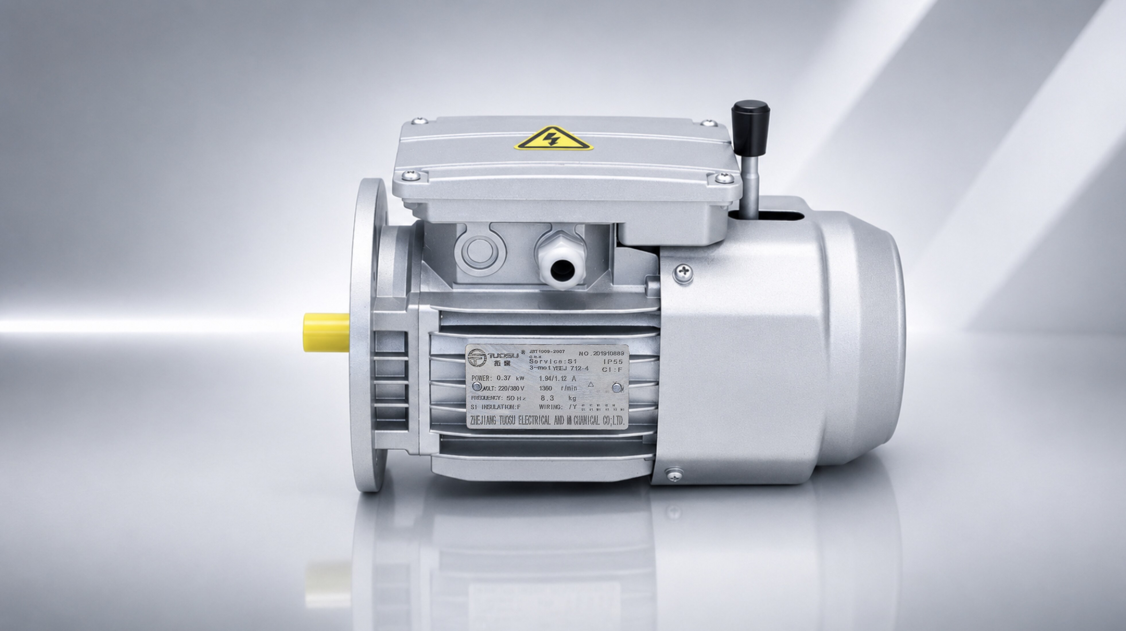YEJ Electromagnetic Brake Motor
