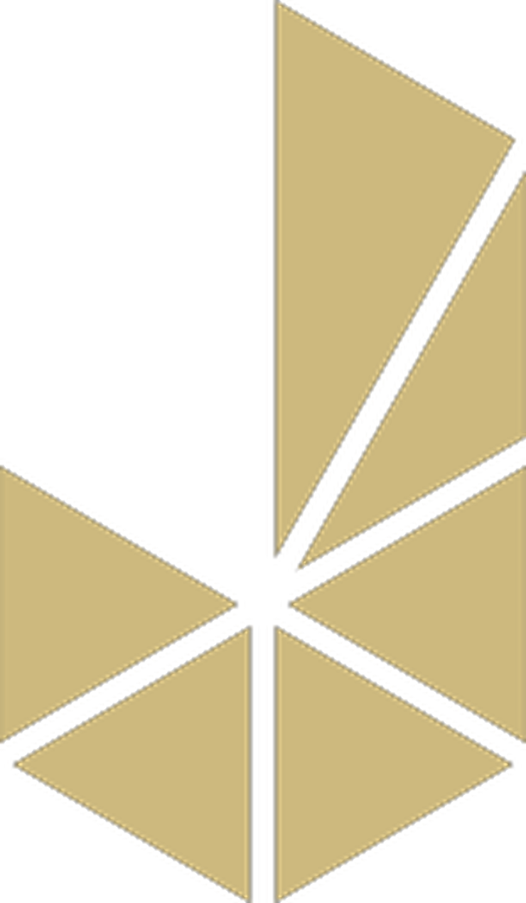 Jin Yi Movie Theater Chain