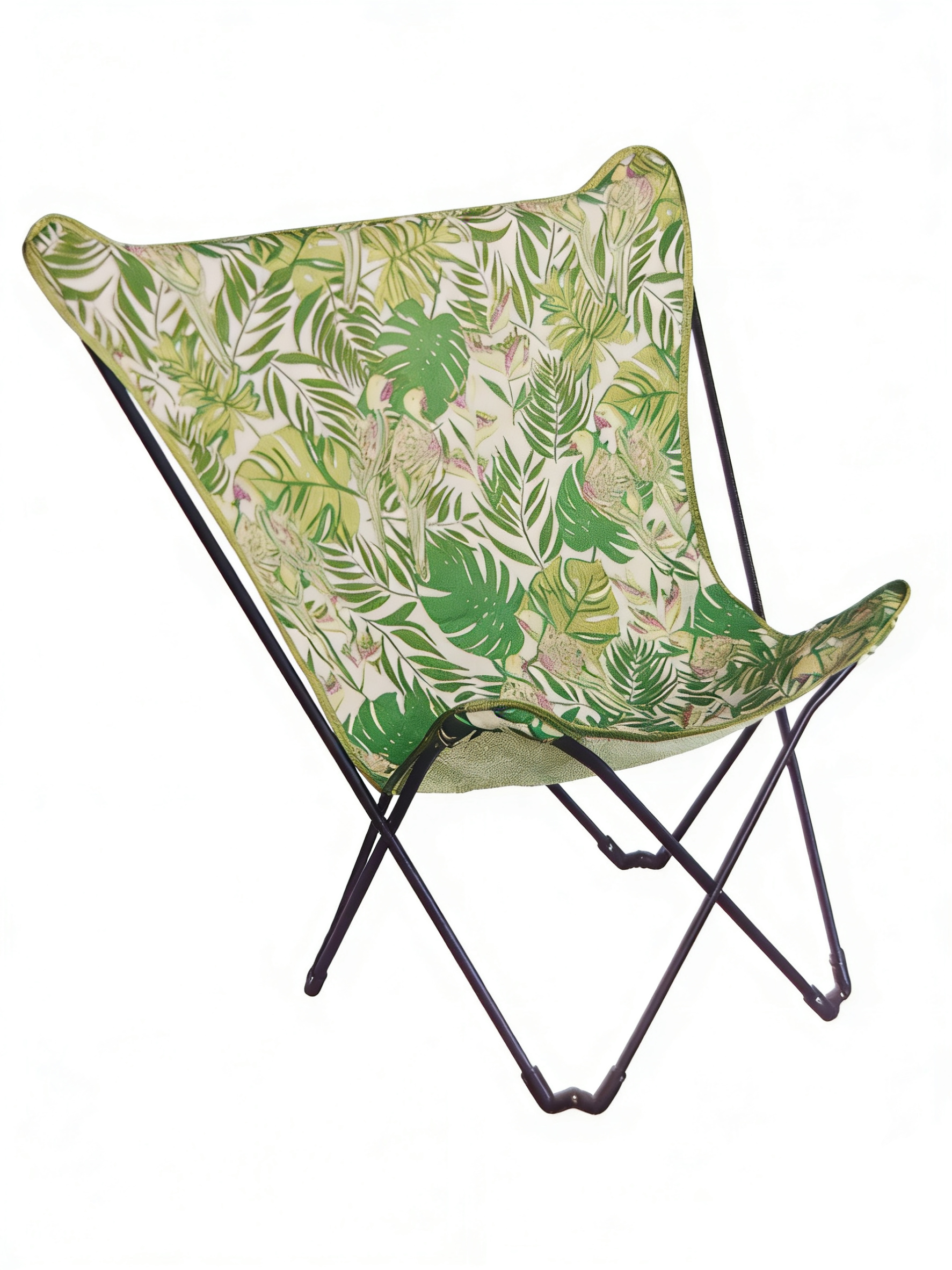 Camping Chair view 2