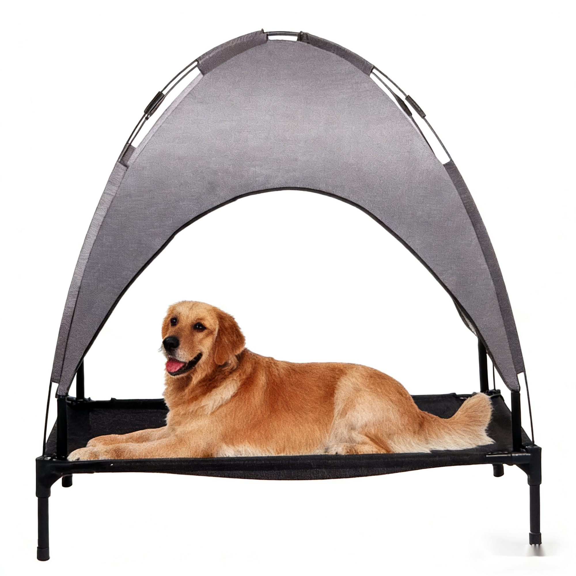 Pet Bed view 2