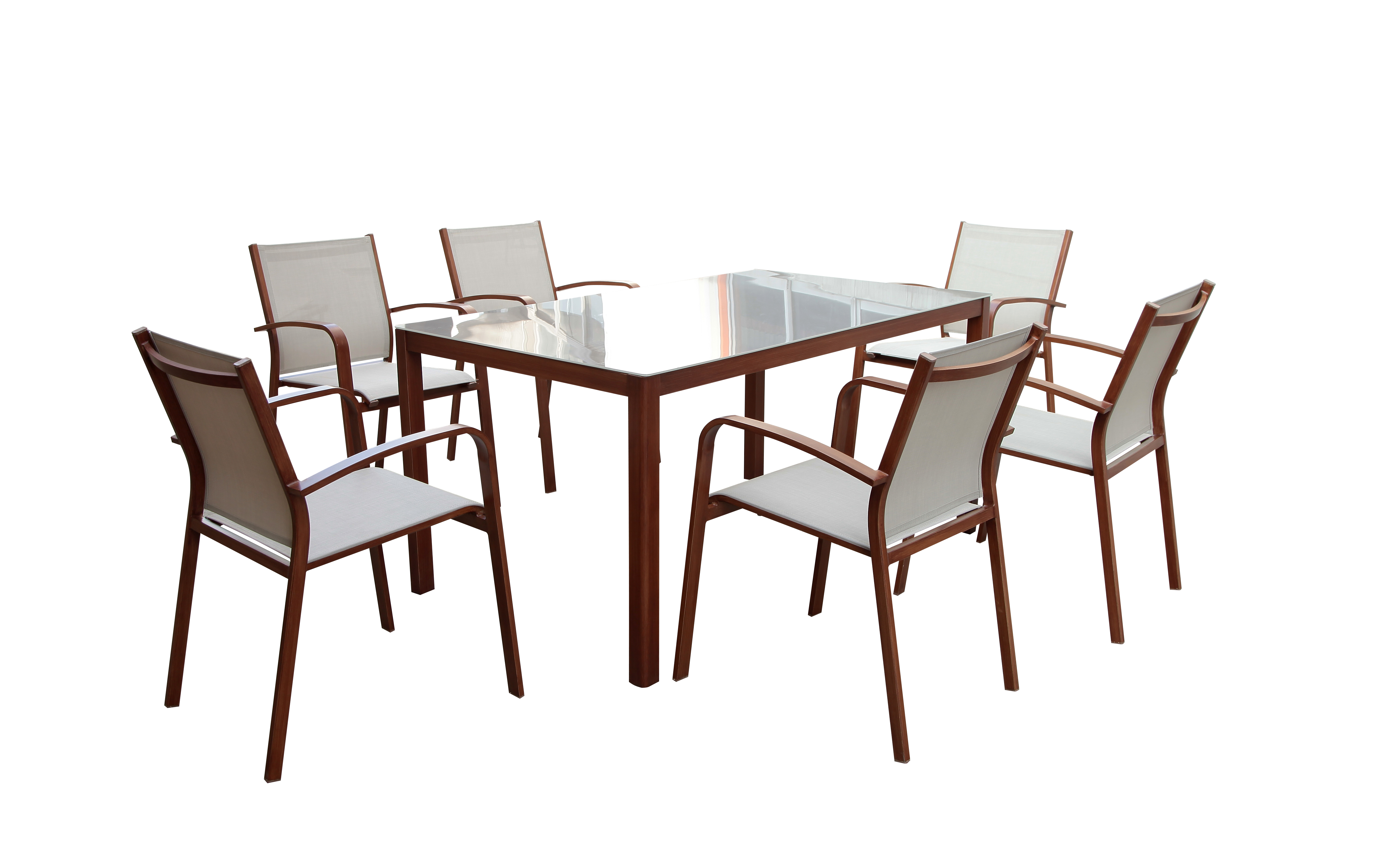Alu 6 Seat Textoline Rect Dining set view 2