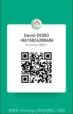 David Contacto de WhatsApp