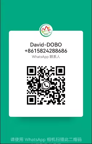 WhatsApp QR