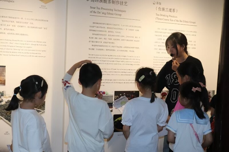 中国茶叶博物馆研学