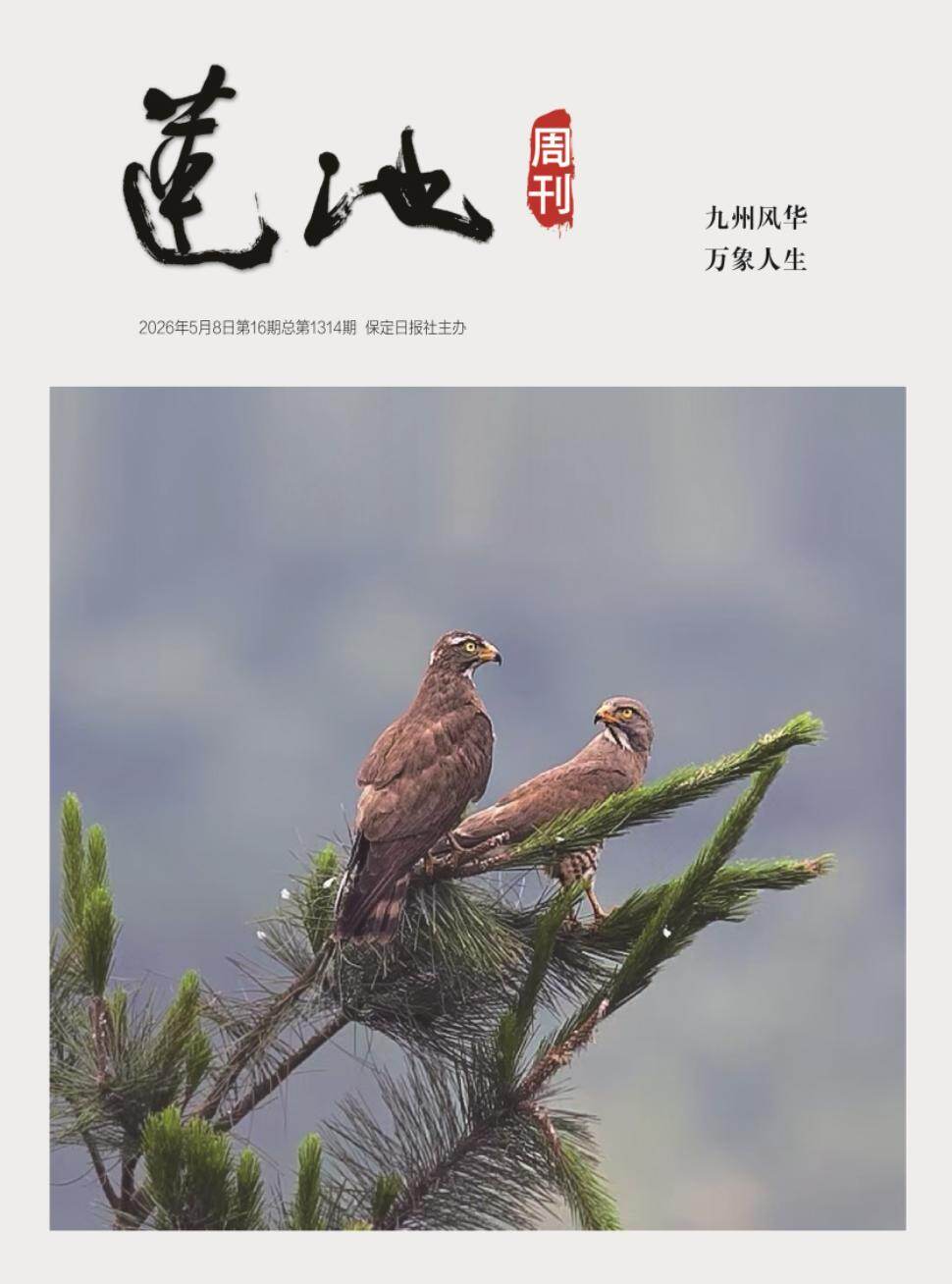 莲池周刊
