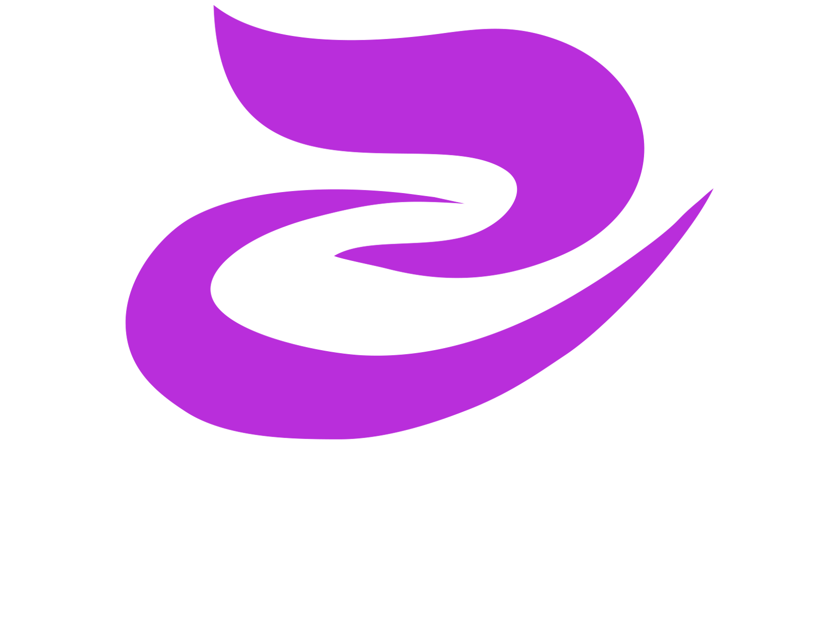 Purichip Logo