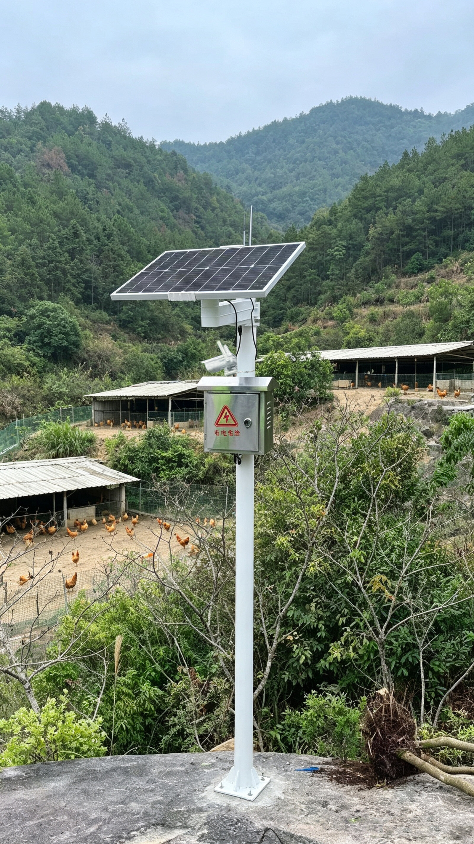 山林散养土鸡养殖场安防监测案例