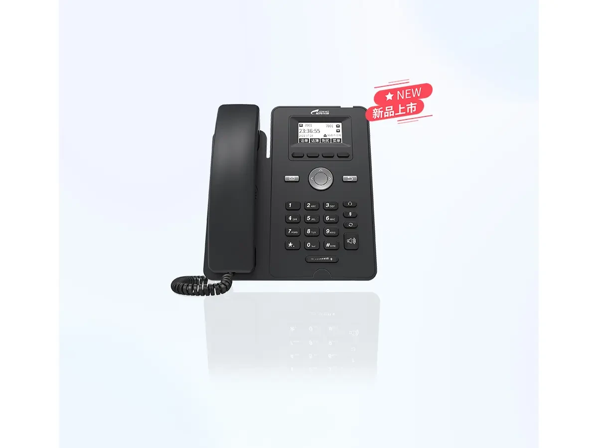 DP21系列IP话机 产品图