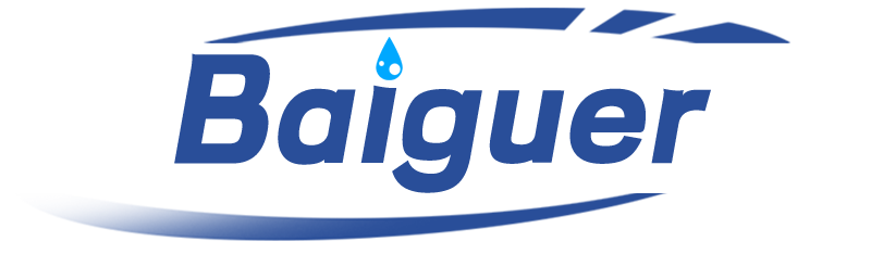BAIGUER logo with elegant typography, modern minimalist design, professional branding