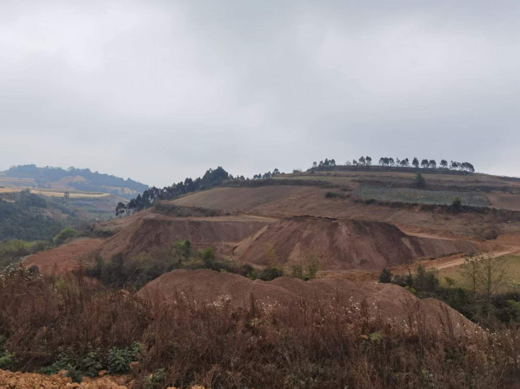 项目实景 5
