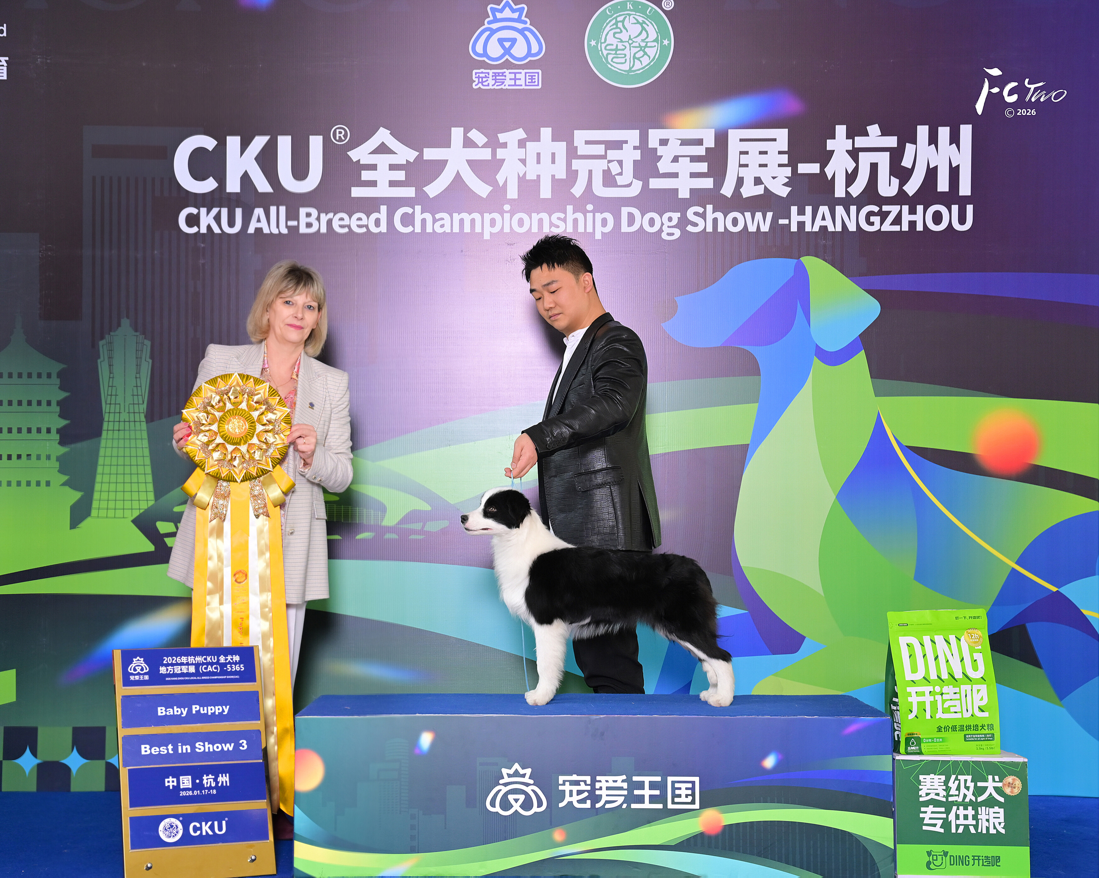 边牧日常运动量指南:如何科学安排锻炼时间