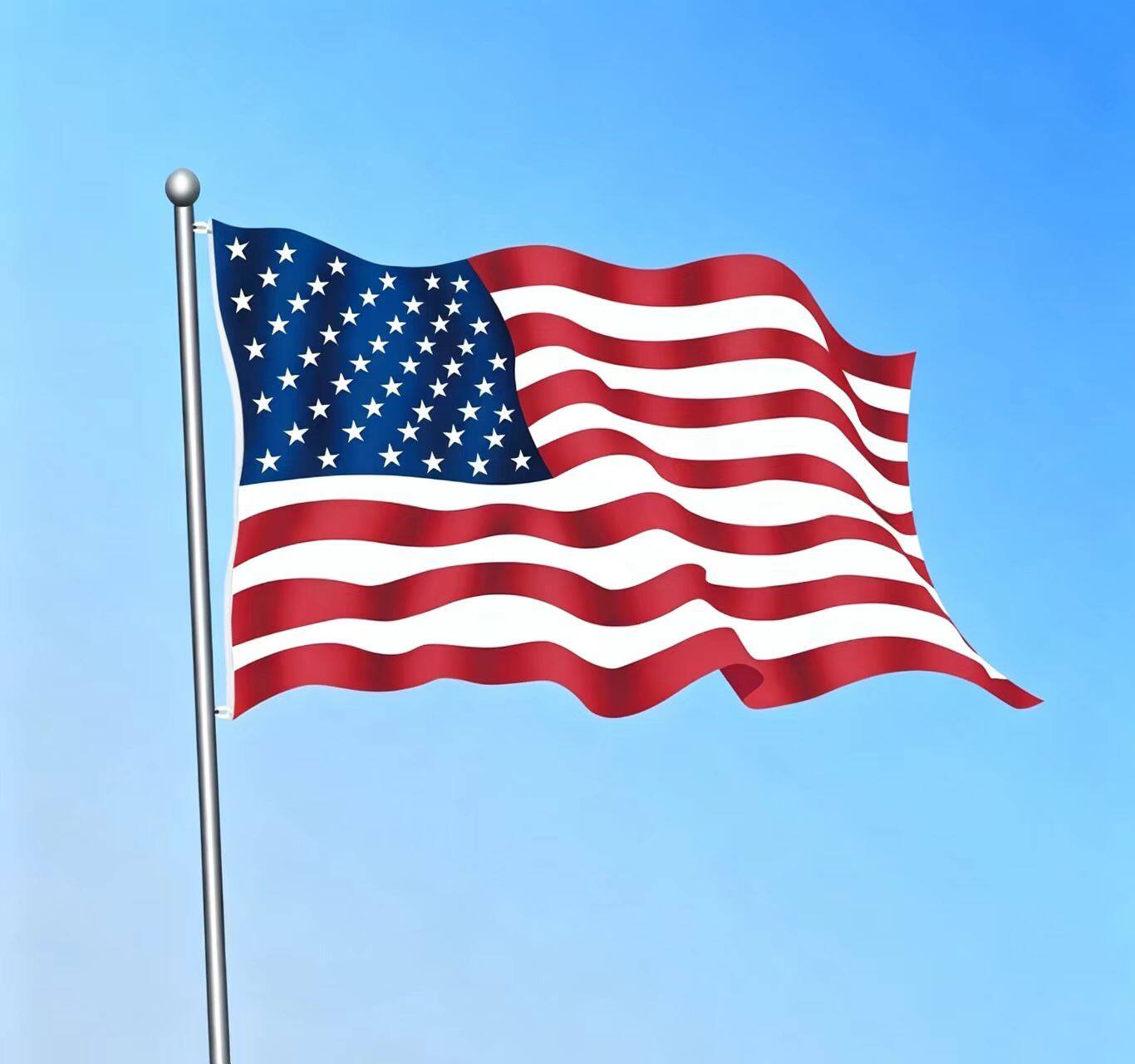 National Flag view 3
