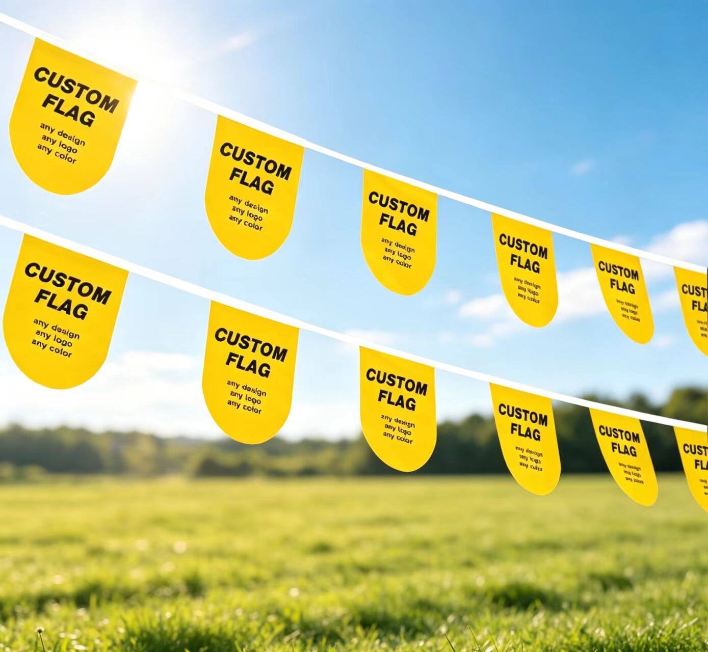 Bunting Flag view 3