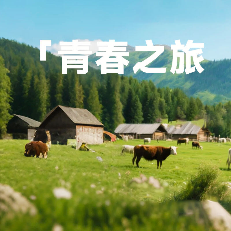 新疆夏季草原花海打卡指南:唐布拉、喀拉峻、那拉提赏花全攻略