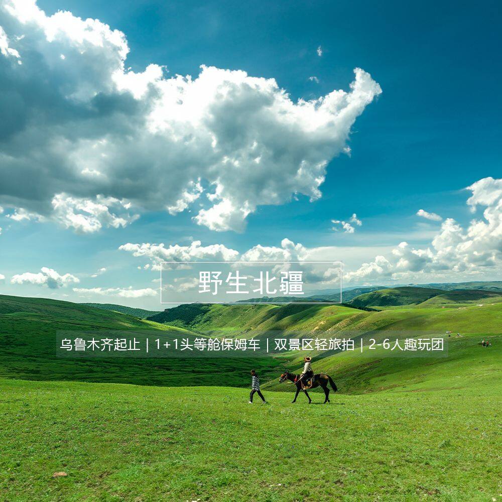 野生北疆10日