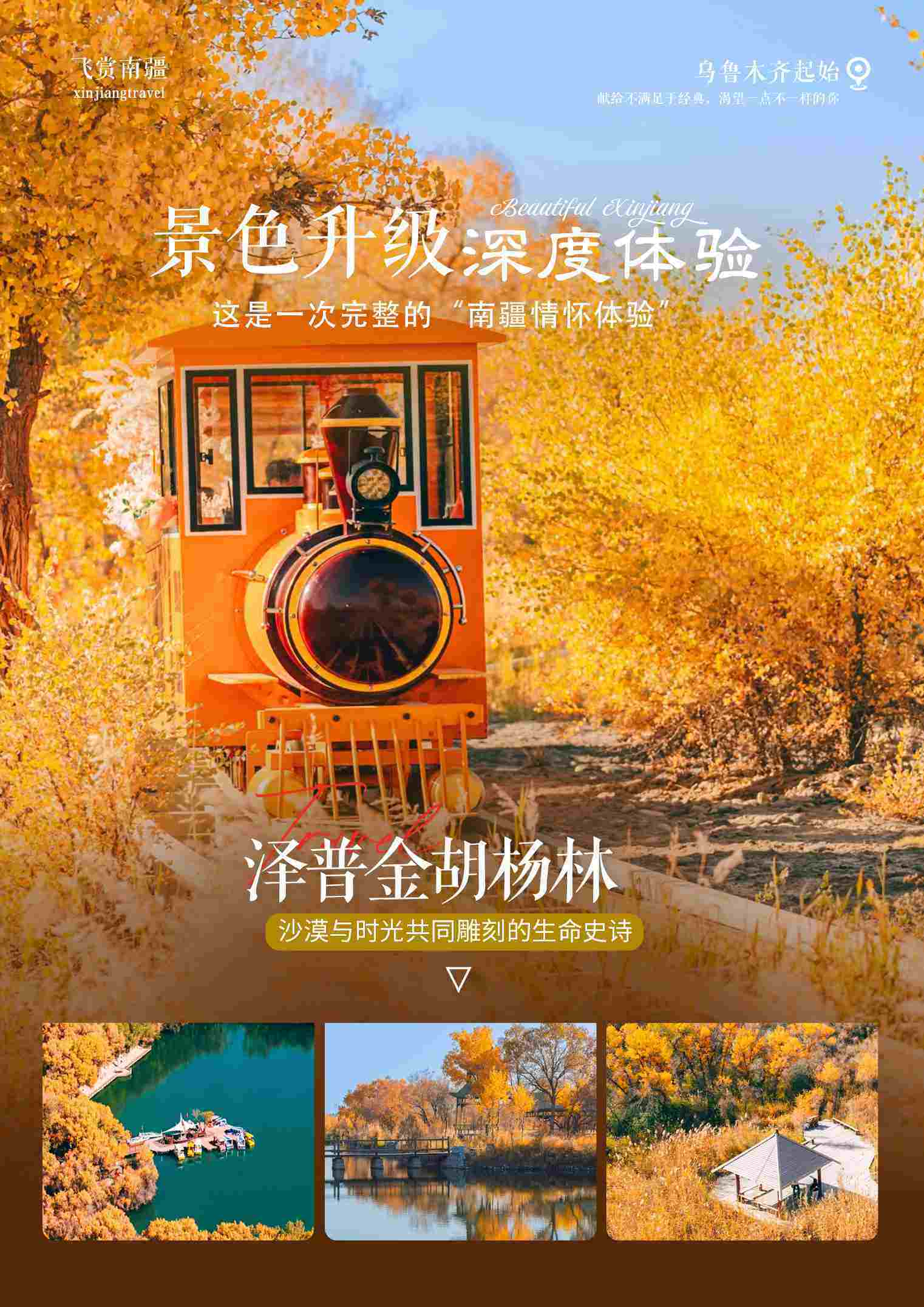 飞赏南疆 11日 产品图 12