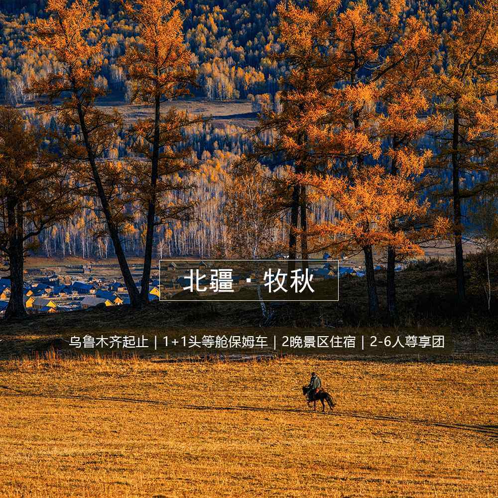 北疆牧秋 8日 高奢版