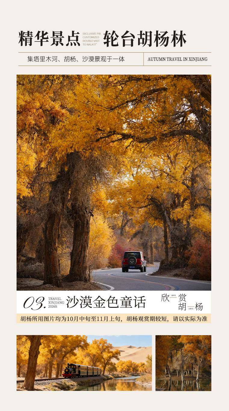 慢煮南疆 12日 产品图 13