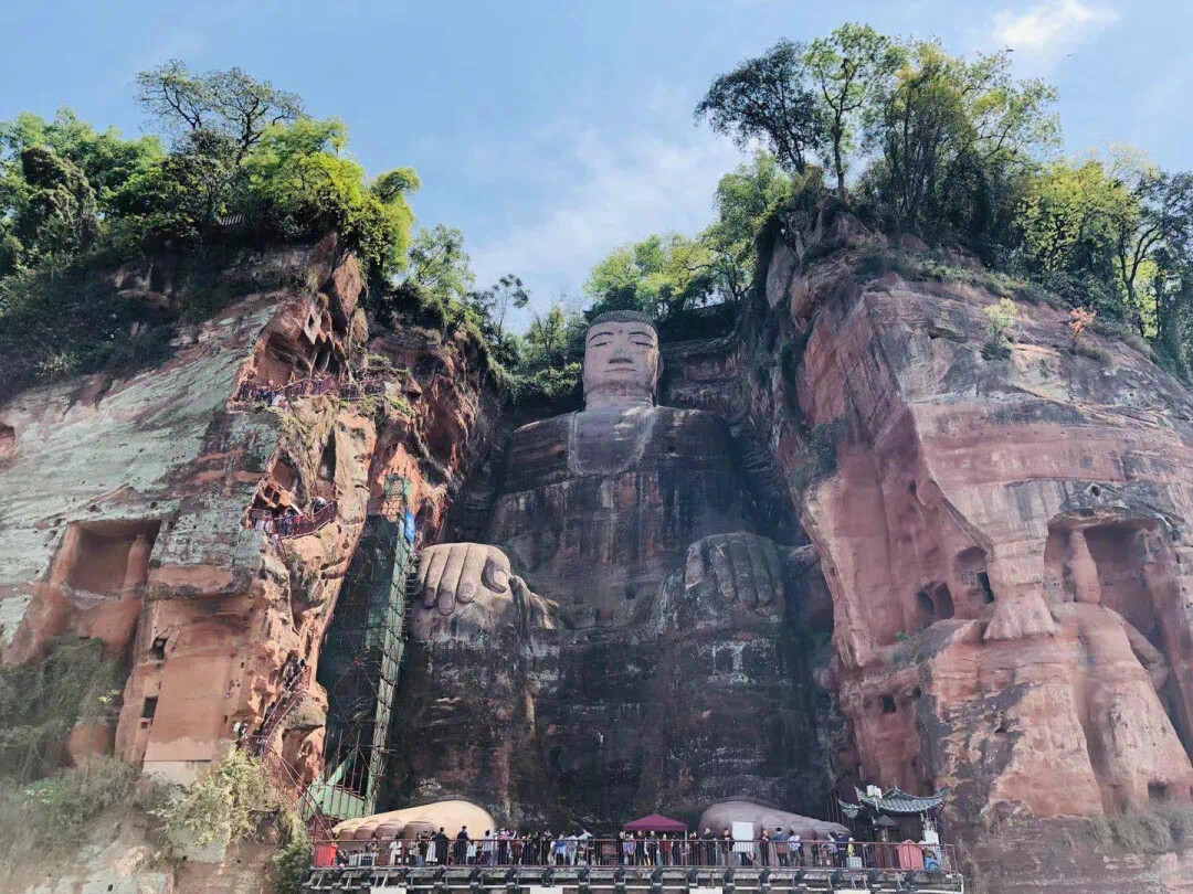 Chengdu: Leshan Giant Buddha & Panda park day tour