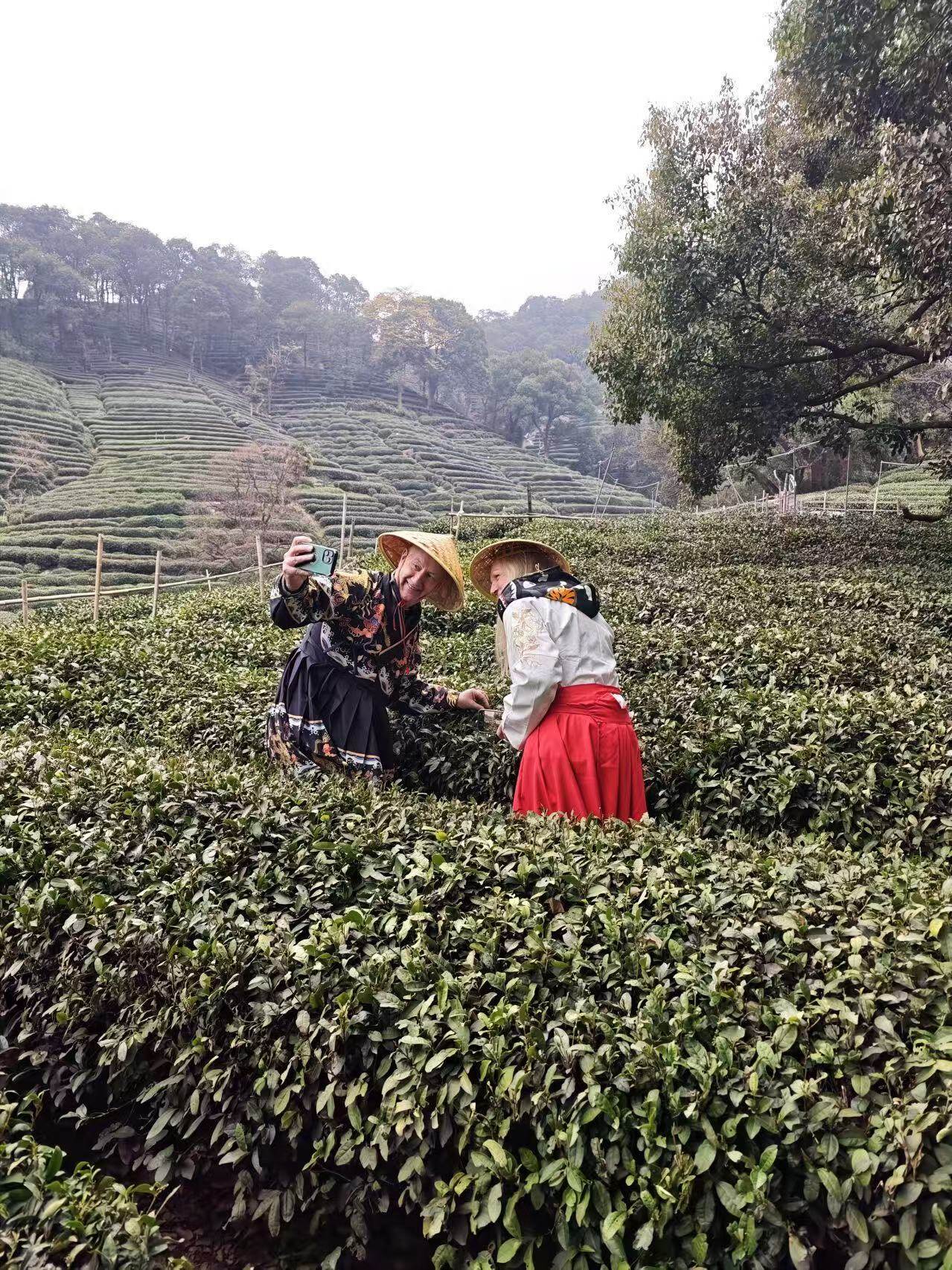 Hangzhou: Small-Group Day Trip from Shanghai by Bullet Train