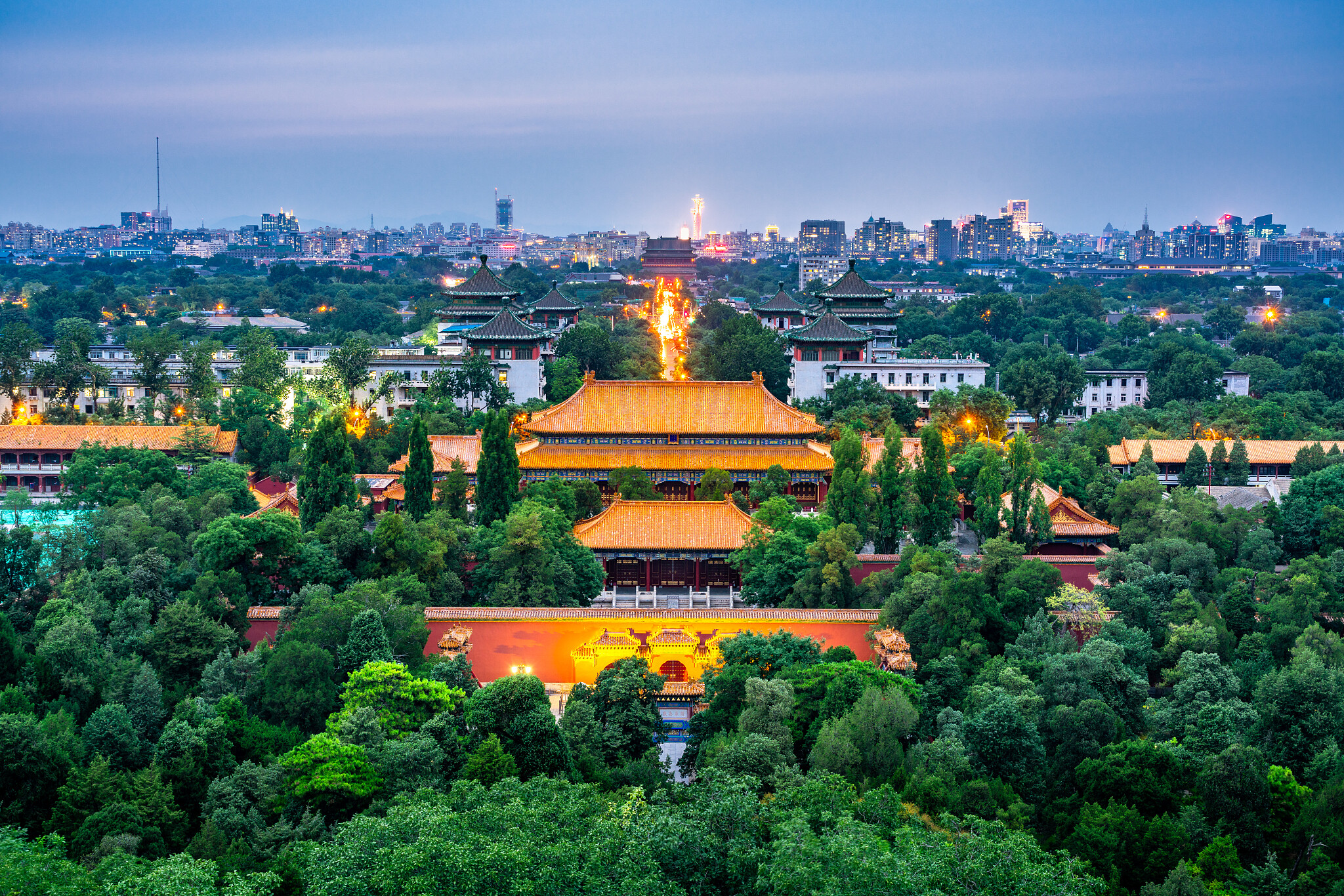 北京植物园赏花指南｜四季花开不断的植物王国探秘之旅