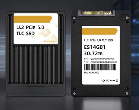 U.2 PCIe 5.0 TLC SSD