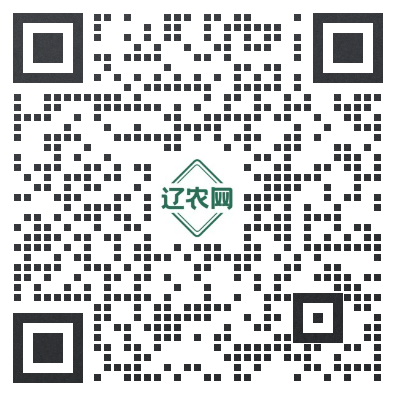 小程序二维码