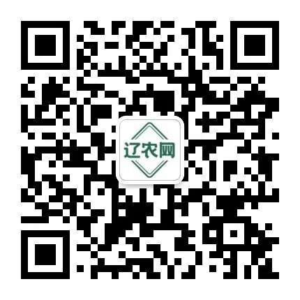 微信二维码