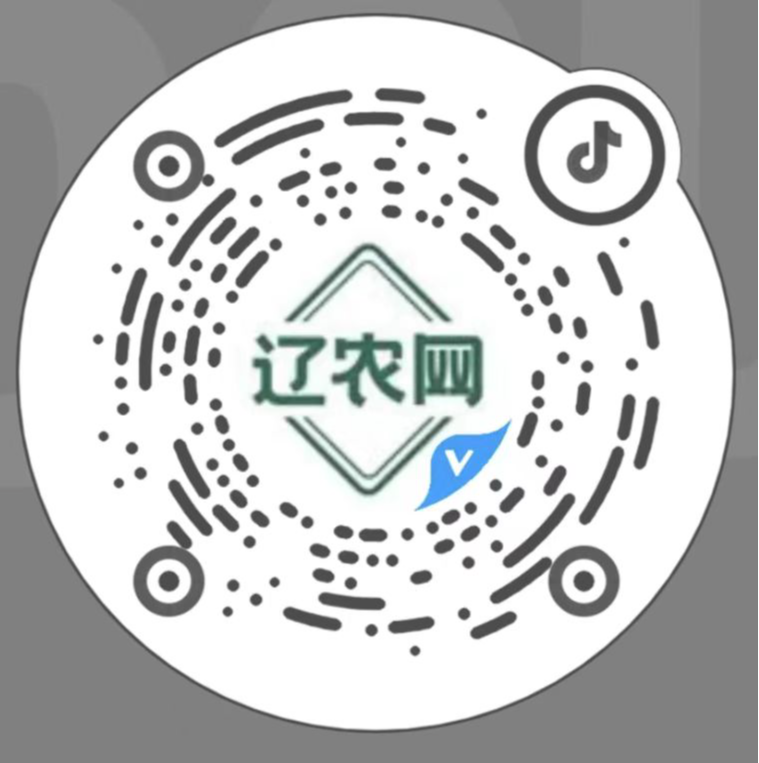 支付宝二维码