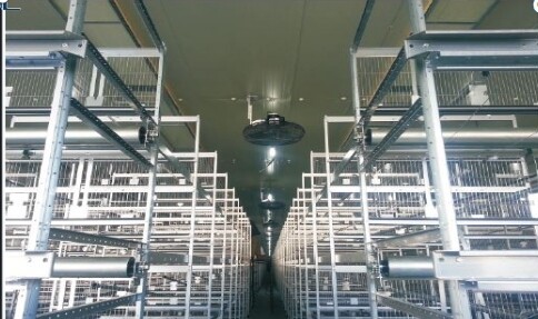 Our Products