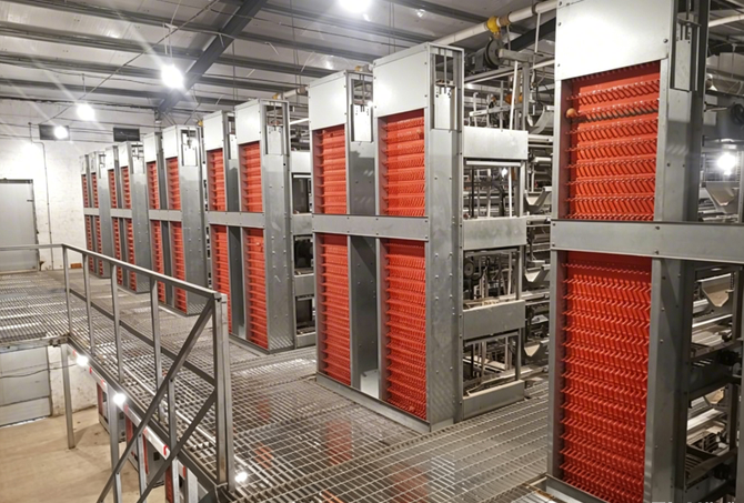 Layer Cage Systems